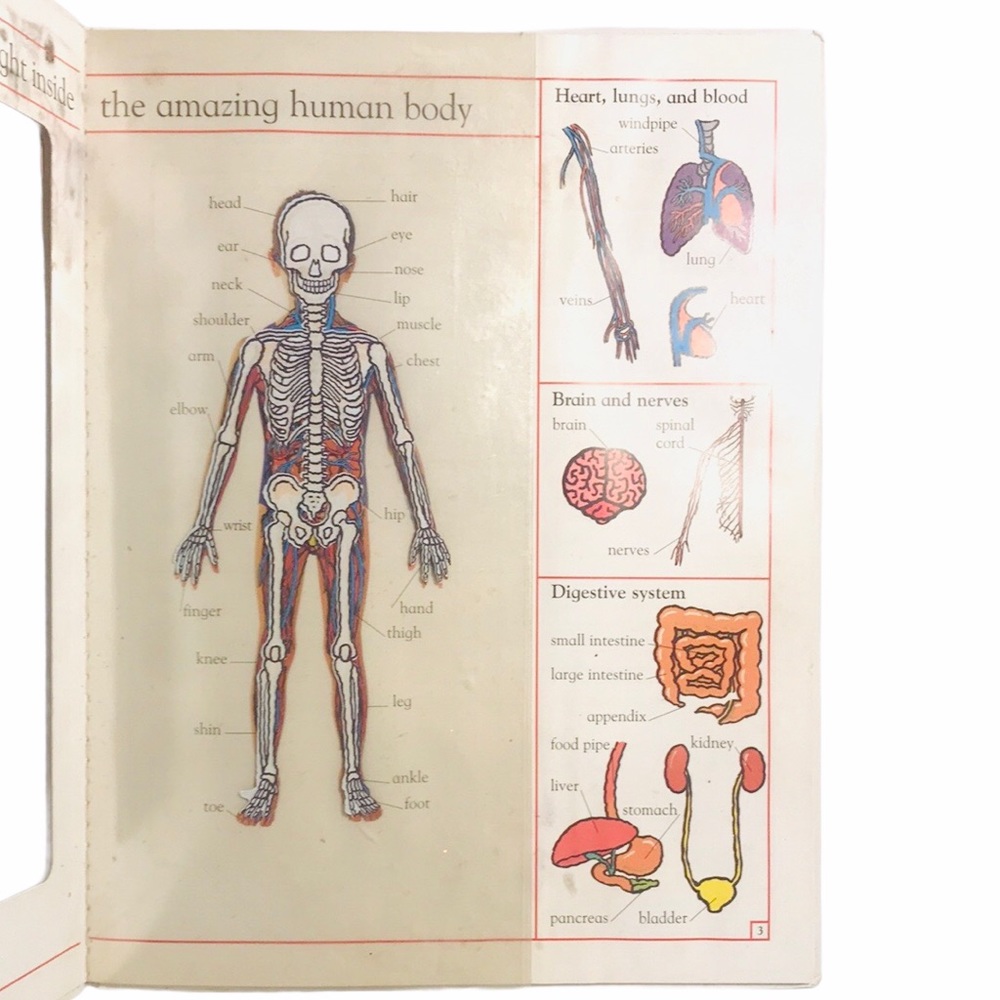 My First Body Book Christopher Rice & Melanie Rice - Picture 4 of 8